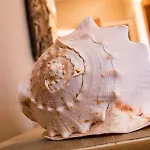 Seabreeze Otel